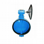 Vannes papillon entre-brides